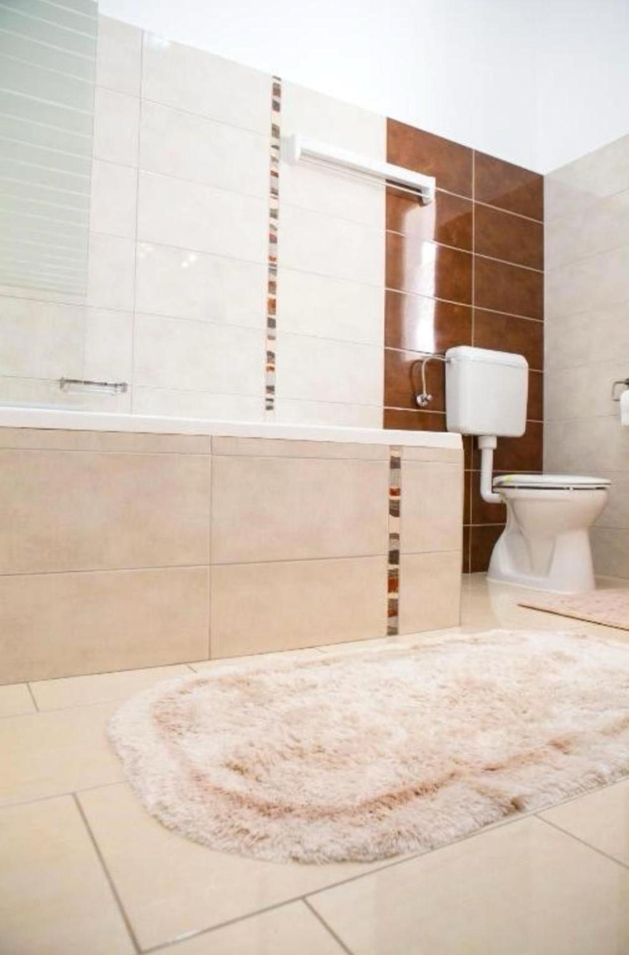 Apartament Victoria Τιμισοάρα Εξωτερικό φωτογραφία