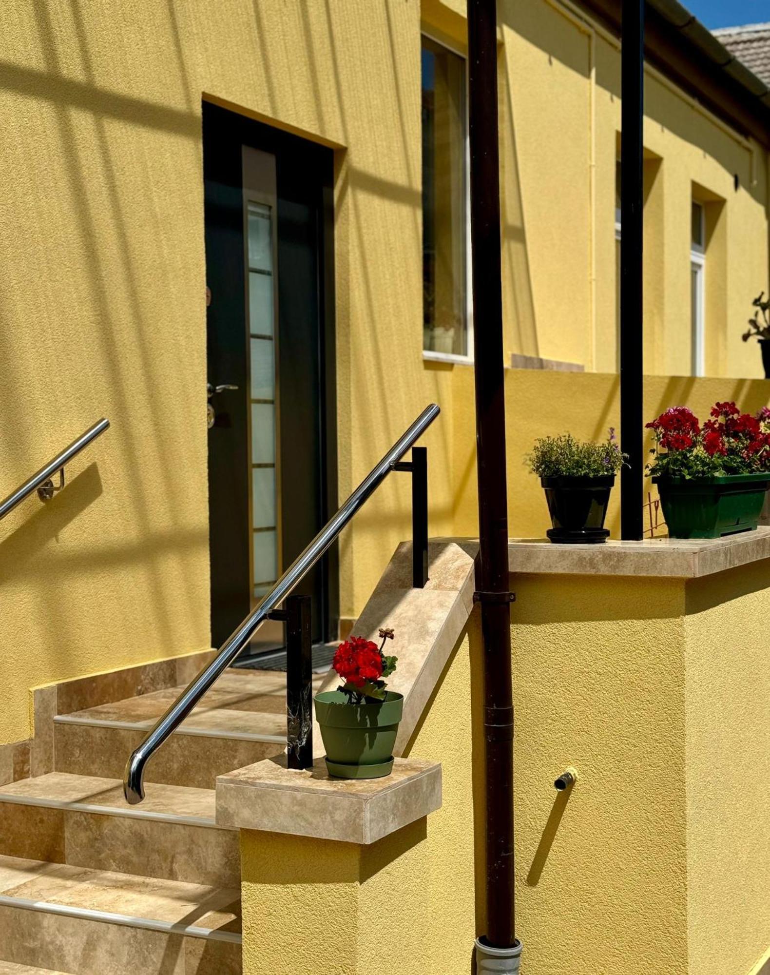 Apartament Victoria Τιμισοάρα Εξωτερικό φωτογραφία