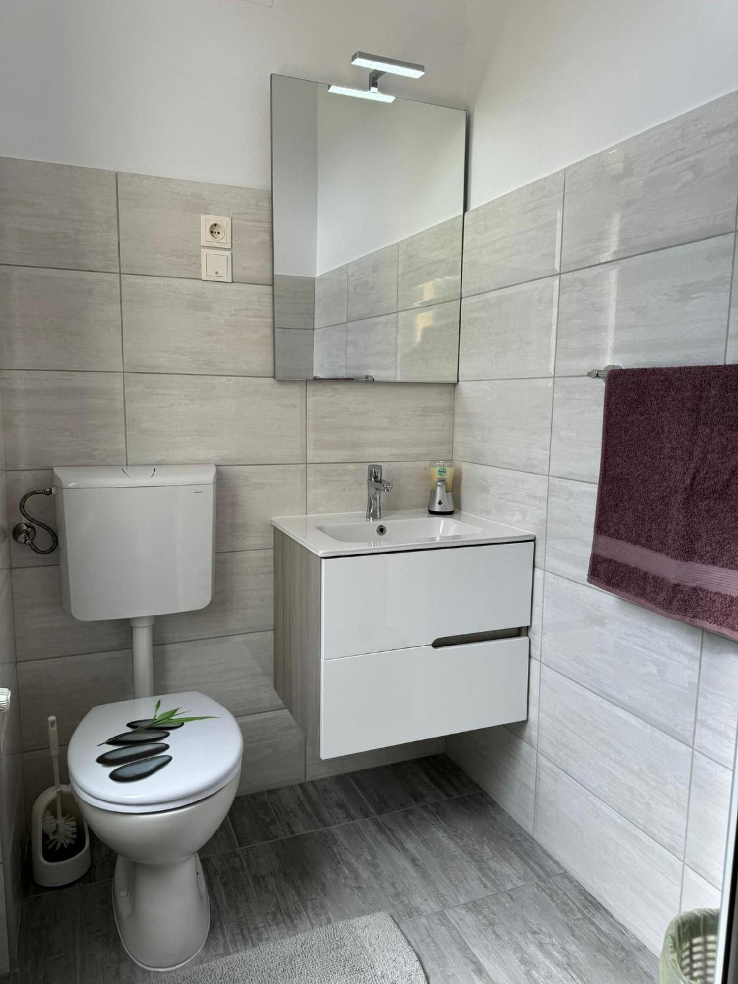 Apartament Victoria Τιμισοάρα Εξωτερικό φωτογραφία