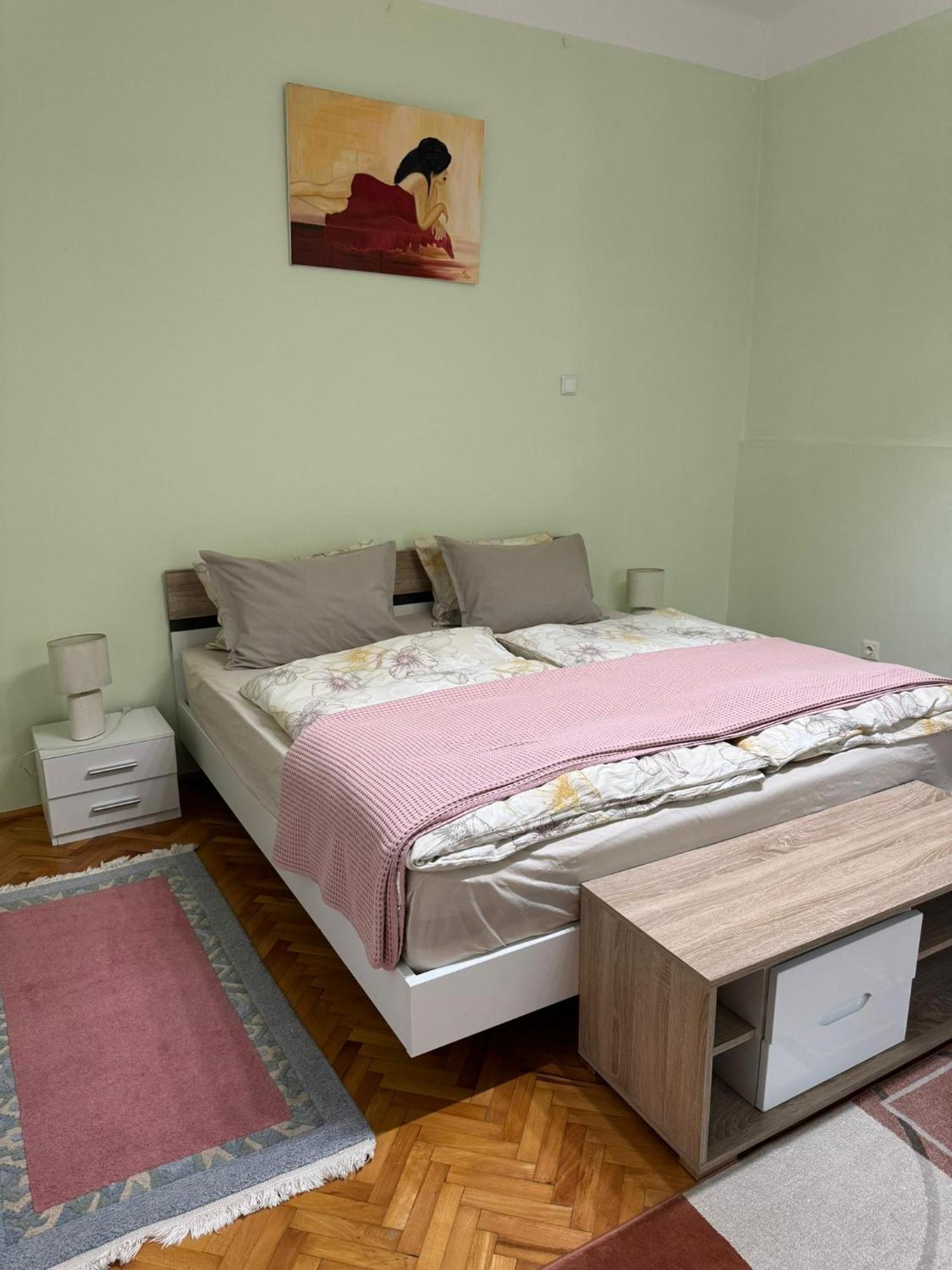 Apartament Victoria Τιμισοάρα Εξωτερικό φωτογραφία