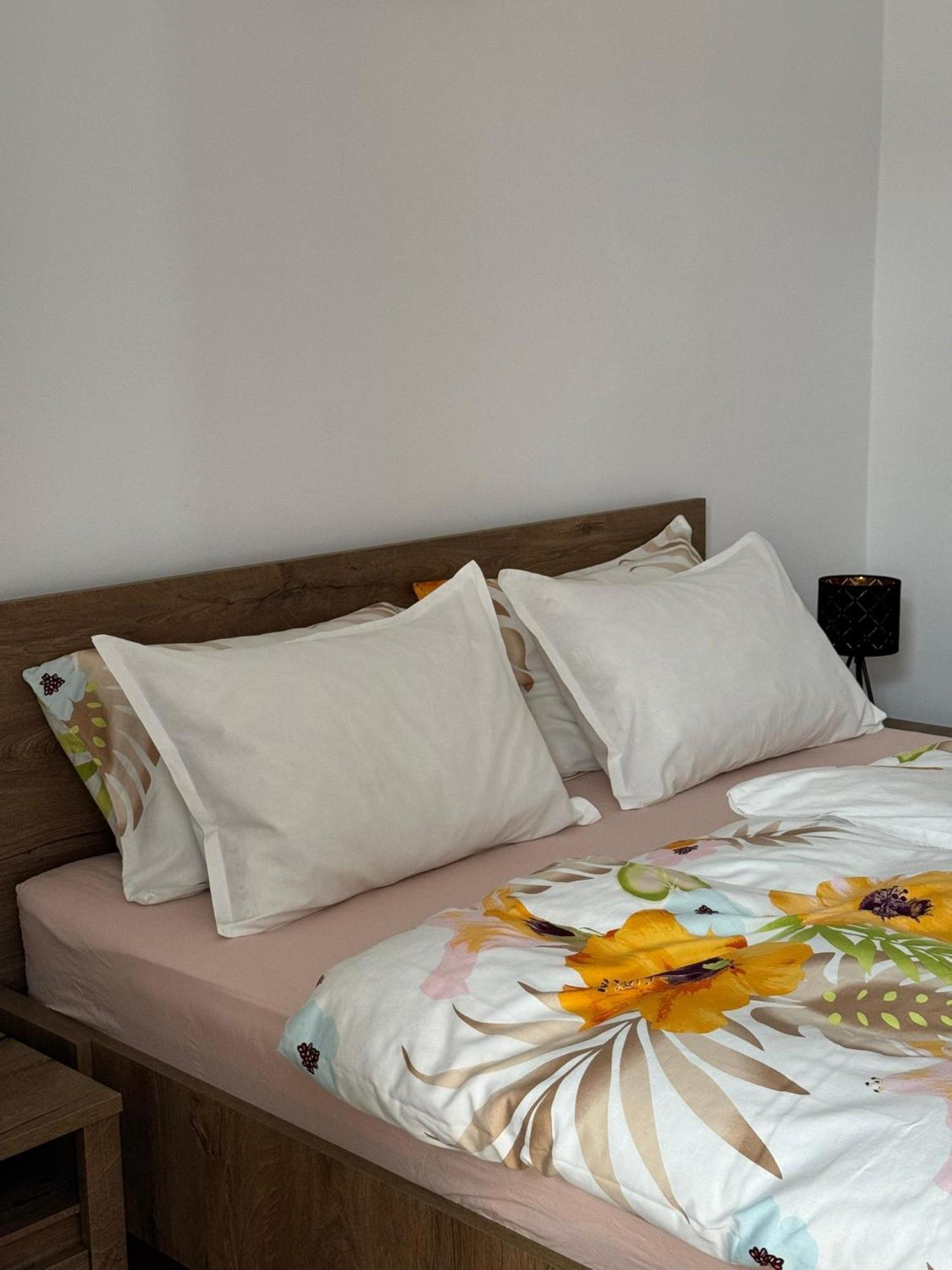 Apartament Victoria Τιμισοάρα Εξωτερικό φωτογραφία