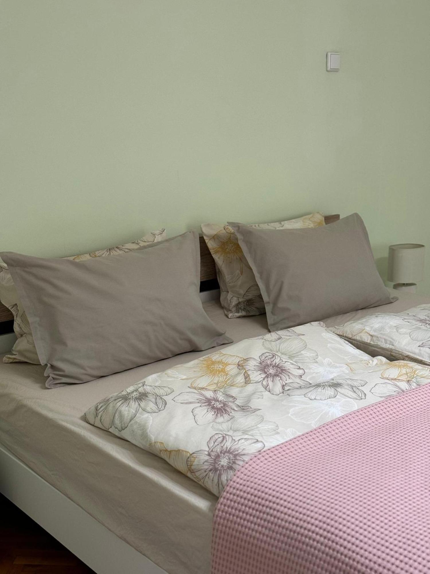 Apartament Victoria Τιμισοάρα Εξωτερικό φωτογραφία