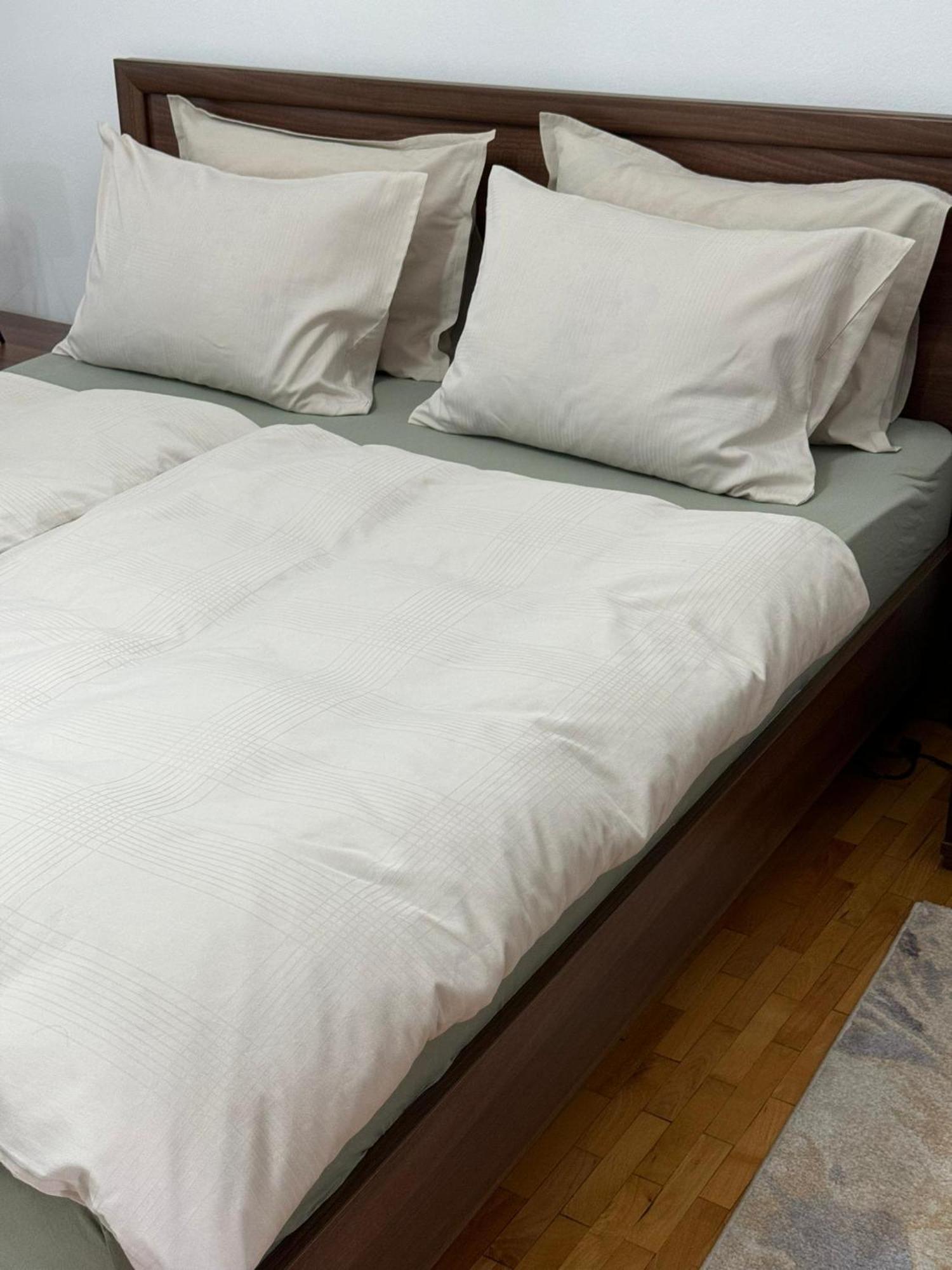 Apartament Victoria Τιμισοάρα Εξωτερικό φωτογραφία